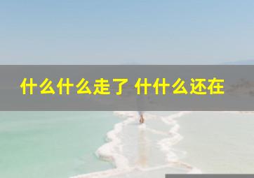 什么什么走了 什什么还在